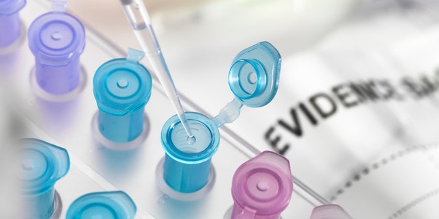 Pipette placing sample into vial for extracting DNA evidence in forensic lab. The kits distributed in Texas schools will allow parents to take, store and control their child’s fingerprints and DNA in their own home, according to the National Child Identification Program website.