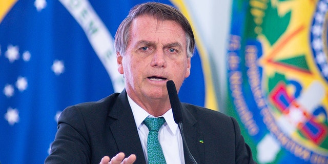Incumbent Brazilian President Jair Bolsonaro began the evening with a modest lead of 8%, as the results began to trickle in, yet over the course of the night, Lula slowly and steadily cut into that lead.