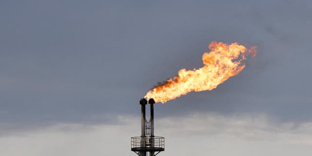 OPEC recently announced its decision to dramatically cut its oil production.