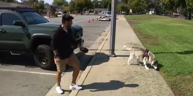 Loki's owner David Espinal believes the dog sniffed around bushes and brush that contained traces of meth